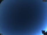 August 2024 9