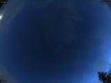 June 2024 20
