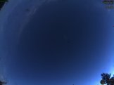 August 2025 21