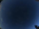 August 2024 4