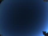 July 2024 21
