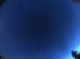 April 2025 29