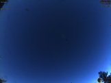 August 2025 29